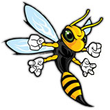 Cheshire Hornets 2 Logo